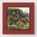 Pesquisar por quadruped Audubon