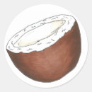 Pesquisar por fruta do coco adesivos Cocos