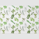 Pesquisar por culinária papeis de seda Cozinheiro