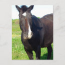 Pesquisar por anjo do cavalo cartoes postais Azul