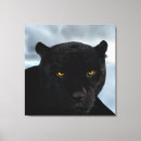 Pesquisar por pantera impressão de canvas Jaguar