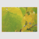 Pesquisar por coração verde papeis de seda Amarelo