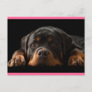 Pesquisar por rottweiler cartoes Rottweiller