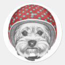 Pesquisar por yorkshire terrier adesivos Fofofo