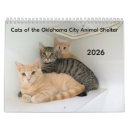 Pesquisar por abrigo animal calendarios Gatos