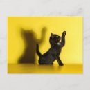 Pesquisar por animais domésticos cartoes postais Felino