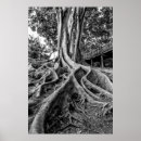 Pesquisar por raiz pósteres Paisagem