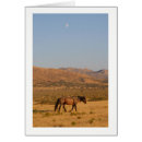 Pesquisar por lua nova cartoes Qualquer pessoa