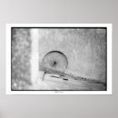 Pesquisar por roda da vida pôsteres pósteres Bicicleta