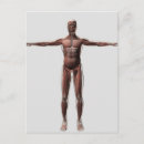 Pesquisar por braço humano cartoes postais Ombro