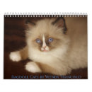 Pesquisar por ragdoll escritorio escola Calendário