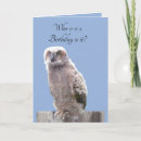 Pesquisar por olhos da coruja cartoes Raptor