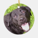 Pesquisar por preto ornamentos Fofo