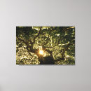 Pesquisar por raios do sol impressão de canvas Paisagem