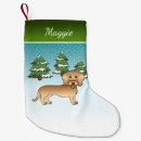 Pesquisar por dachshund meias de natal Doxie