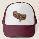 Pesquisar por leopard bones Para todos