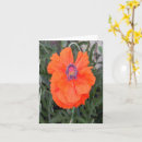Pesquisar por poppy cartoes Verde