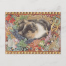 Pesquisar por maliciosos cartoes postais Gato malicioso