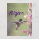 Pesquisar por hummingbird cartoes postais Asas