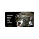 Pesquisar por apbt cartoes convites Animais de estimação