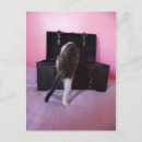 Pesquisar por gato egípcio cartoes postais Mau