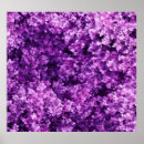 Pesquisar por fundo pósteres Púrpura