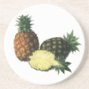 Pesquisar por pineapple porta copos Havaiano