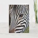 Pesquisar por mammals cartoes Wildlife