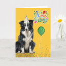 Pesquisar por de border collie vertical cartoes Collies