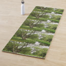 Pesquisar por braches Verde