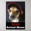 Pesquisar por abuso animal Filhote de cachorro
