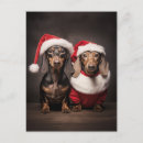 Pesquisar por natal dachshund cartoes postais Animais de companhia