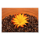 Pesquisar por café floral pôsteres pósteres Margarida