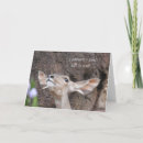 Pesquisar por antilope cartoes Natureza