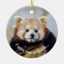 Pesquisar por pandas ornamentos Para eles