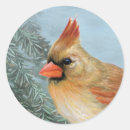 Pesquisar por cardeal fêmea adesivos Passarinho