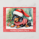Pesquisar por natal dachshund cartoes postais Cãozinho