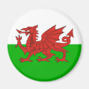 Pesquisar por bandeira dragão galês Wales