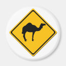 Pesquisar por camel imas Mamífero