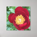Pesquisar por peony impressão de canvas Jardim