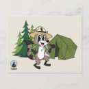 Pesquisar por raccoon cartoes postais Revista de natureza infantil