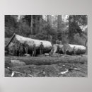 Pesquisar por vapor pôsteres pósteres Estados