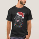 Pesquisar por black light camisetas Labrador