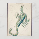 Pesquisar por escorpião convites cartoes postais Estrelas