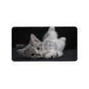 Pesquisar por animais etiquetas Qualquer pessoa