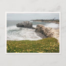 Pesquisar por flores naturais cartoes postais Vintage