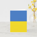 Pesquisar por bandeira na cartoes Sinalizador