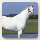 Pesquisar por cavalo appaloosa porta copos Estar