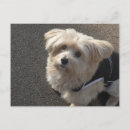 Pesquisar por caras felizes cartoes postais Para todos