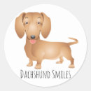 Pesquisar por daschund daschund adesivos Dachshund